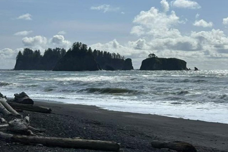 Small Group: Olympic Park & Forks Day Trip From Seattle