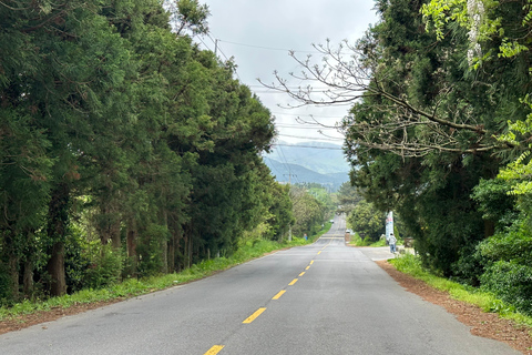 Jeju Sur: Curación UNESCO Tour en grupo reducido de un día