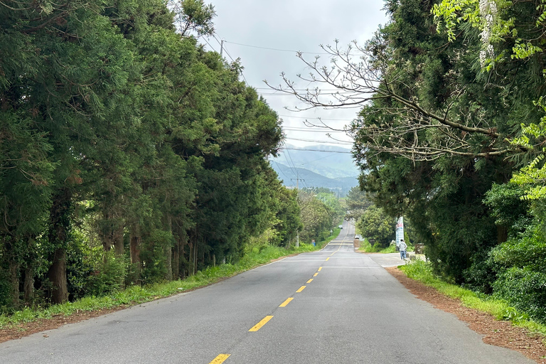 Jeju Sud: Tour di un giorno con guarigione dell&#039;UNESCO per piccoli gruppi