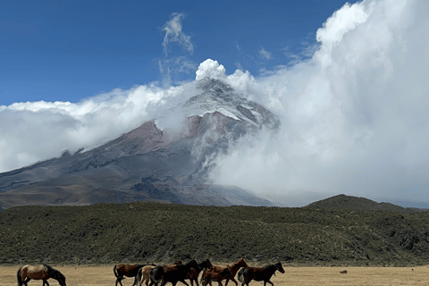 Cotopaxi 1 jour