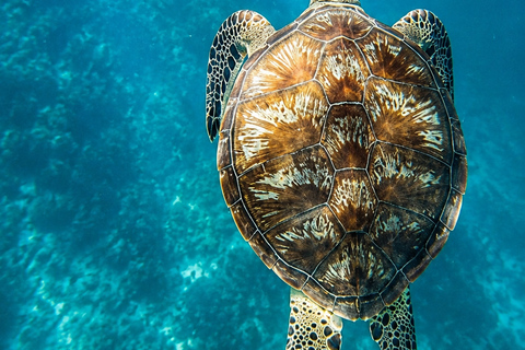 3-Day 2-Nights Group Boat Expedition from Coron to El Nido