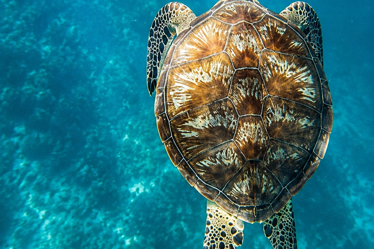 3-Day 2-Nights Group Boat Expedition from Coron to El Nido