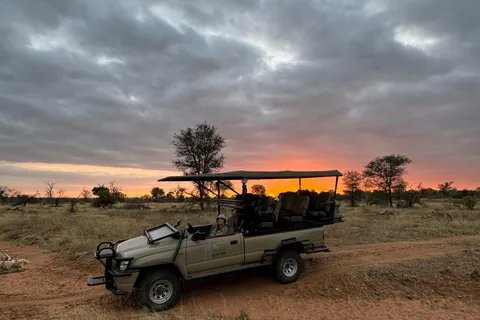 Hoedspruit: Sunrise Safari in Greater Kruger Private Reserve