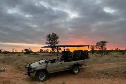 Hoedspruit: Soluppgångssafari i Greater Kruger Private Reserve