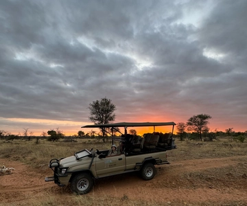 Hoedspruit: Sunrise Safari in Greater Kruger Private Reserve