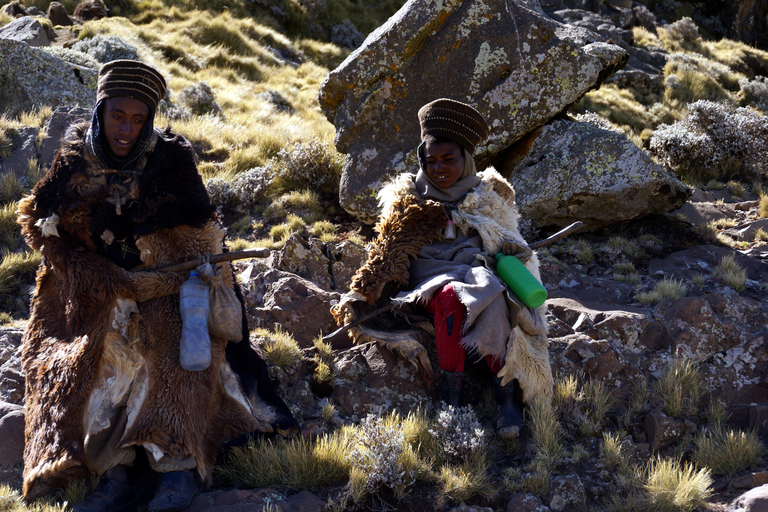 Addis Abeba: Góry Simien i Lalibela 10-dniowa wycieczkaAddis Abeba: 10-dniowa wycieczka w góry Simien i Lalibela