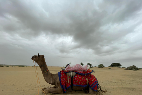 斋浦尔带司机和导游的私人城市之旅