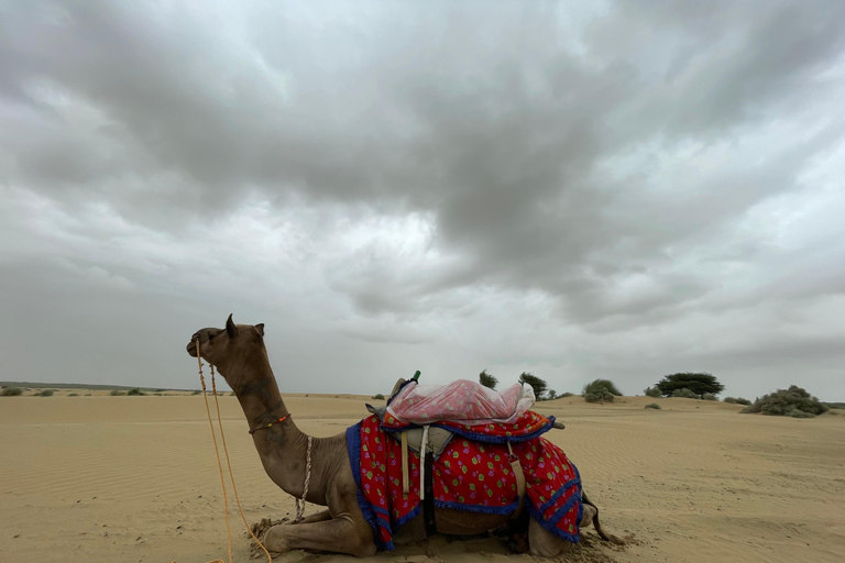 斋浦尔带司机和导游的私人城市之旅