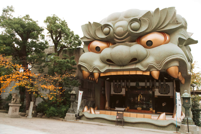 From Osaka/Kyoto/Nara: Customizable Private Tour & Car/Guide