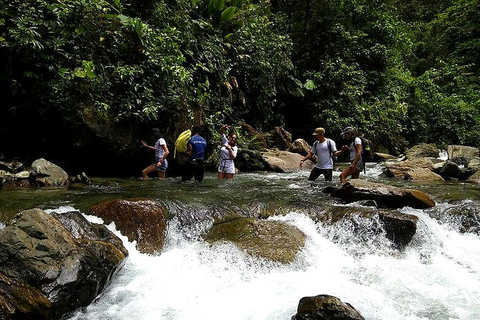 Cali: Pacific Jungle Trek to Hidden Pools & La Sirena Falls