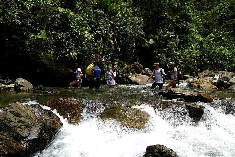 Cali: Pacific Jungle Trek to Hidden Pools & La Sirena Falls