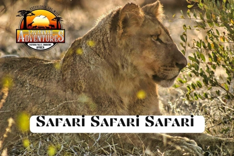 Cataratas Victoria: Safari Premium con Gin BreakTour en grupo reducido Gin Tonic