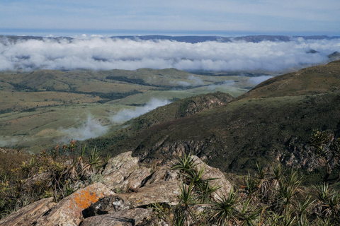 From São Paulo: 5-Day Serra da Canastra Wildlife Safari