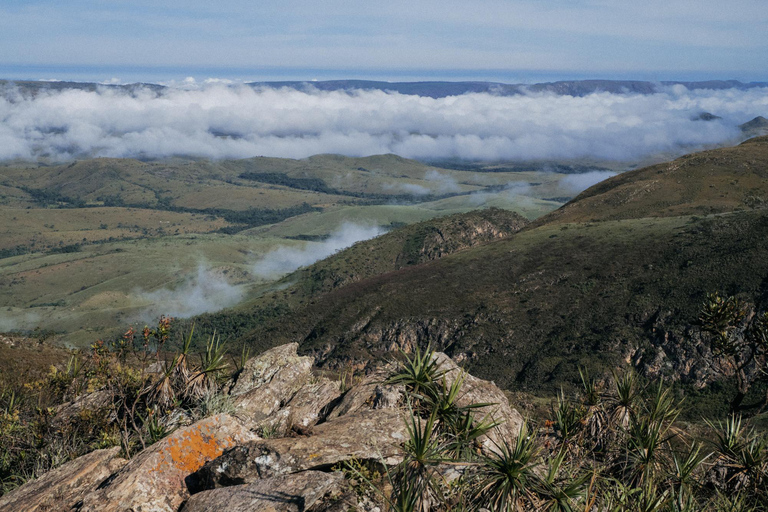 From São Paulo: 5-Day Serra da Canastra Wildlife Safari