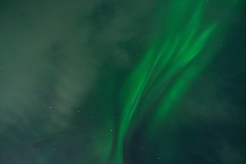 Tromsø: Noorderlicht Tour met Lokale gids &amp; Lokaal eten