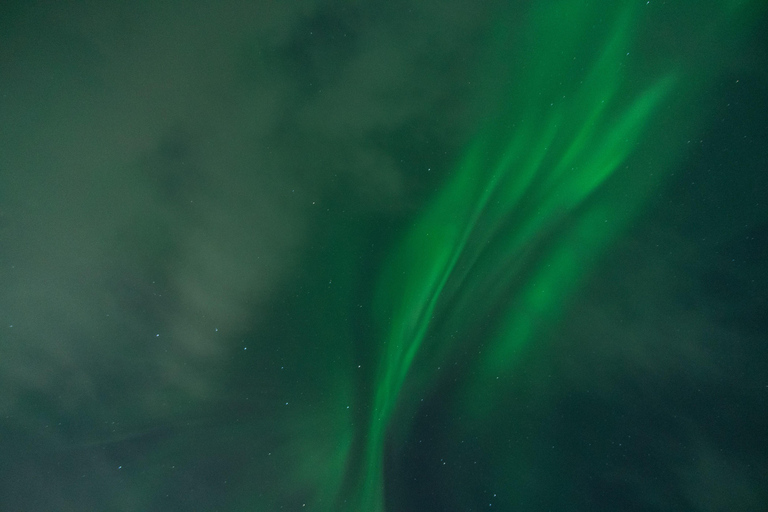 Tromsø: Excursión a la Aurora Boreal con guía local y comida local