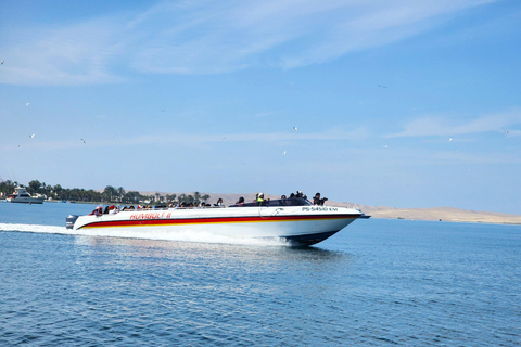 Tour por la reserva de Paracas, las islas Ballestas, Huacachina y las dunasReserva de Paracas, islas Ballestas, Huacachina y dunas