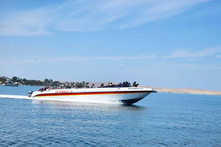 Tour por la reserva de Paracas, las islas Ballestas, Huacachina y las dunasReserva de Paracas, islas Ballestas, Huacachina y dunas