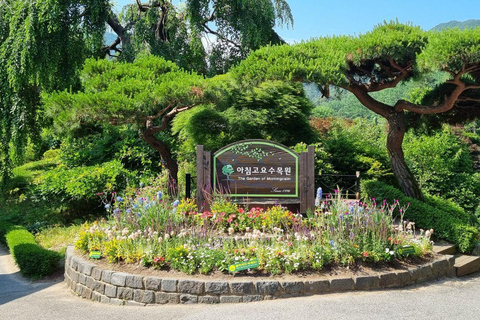 Seoul: Nami Island, Garden of Morning Calm, & Railbike Tour