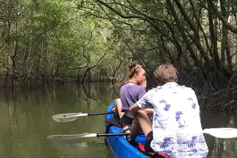 Ko Lanta: HALF DAY EXPLORE MANGROVE KAYAKING TOUR AND LUNCH
