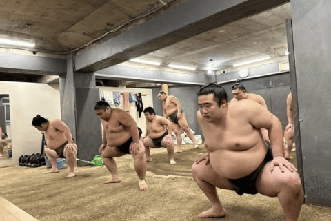 Nagoya: Authentic Sumo Morning Practice (July Match)