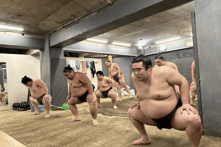 Nagoya: Authentic Sumo Morning Practice (July Match)