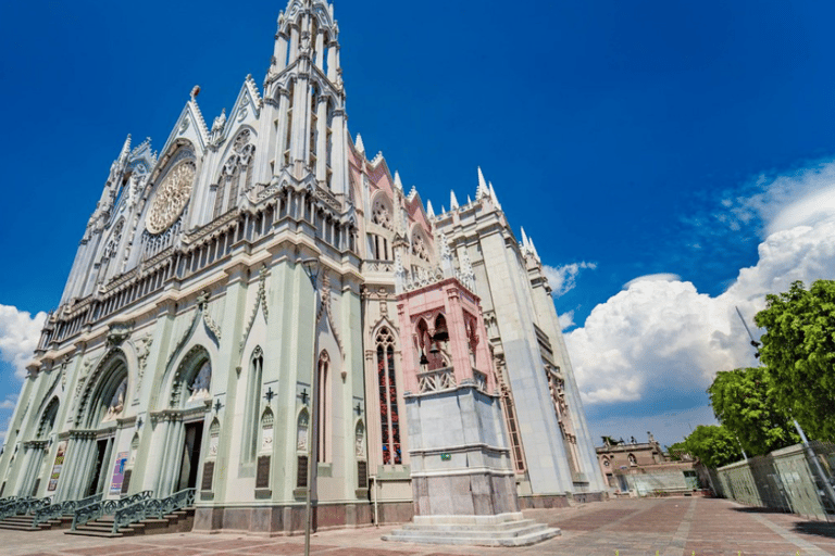 León: Ruta del Vino en Viñedo Leones y Exploración del Centro de la Ciudad