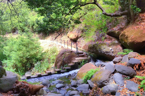 From Funchal: Wet your hair in the amazing Moinhos Levada