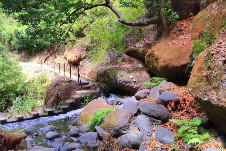 From Funchal: Wet your hair in the amazing Moinhos Levada