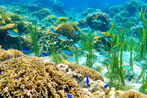 From Puerto Princesa: 2-Day Port Barton Island Hopping Tour