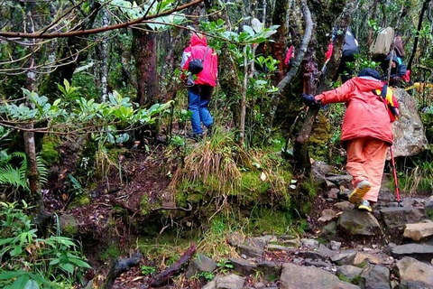 Mount Gede: 2-Day Hiking and Camping Adventure from Jakarta Thrilling Adventure with Mount Gede Hike and Camp 2D1N Tour!