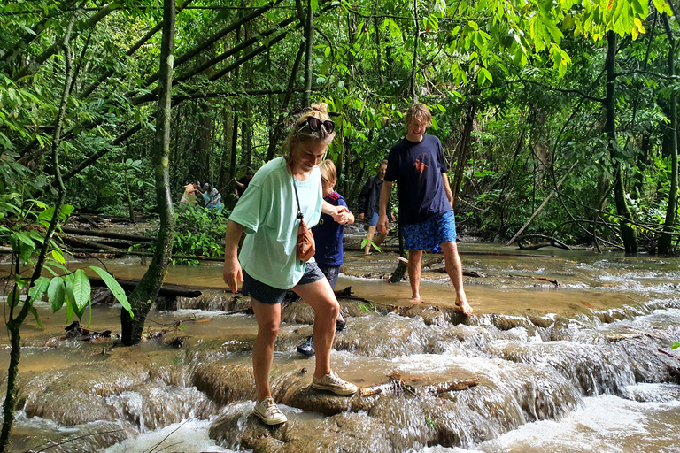 Z Krabi: wycieczka 1-dniowa nad jezioro Khao Sok