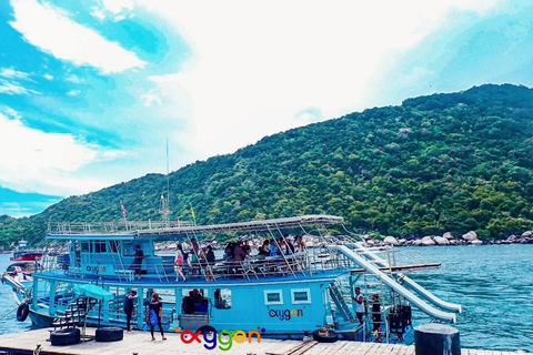 Koh Tao in a Day: Turtles, Hidden Reefs & Nangyuan Viewpoint