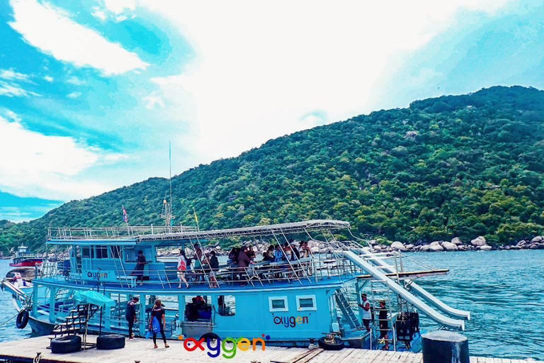 Koh Tao in a Day: Turtles, Hidden Reefs & Nangyuan Viewpoint