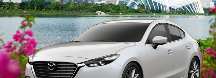 Transfert aéroport privé aller-retour depuis/vers l'aéroport Changi