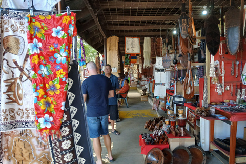 Nadi VIP Tour: Culture, Mud Baths, Massage & Lunch Nadi Airport Transit Zone & Votualevu