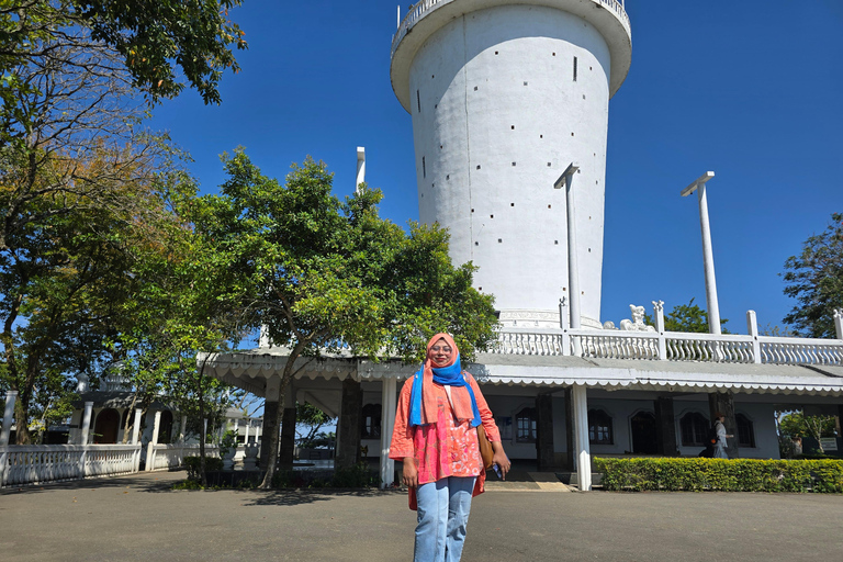 From Kandy: Pinnawala Elephants & Ambuluwawa Tower Day Tour From Kandy: Ambuluwawa Tower private tour by car/mini van 02