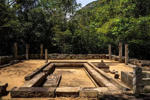 From Anuradhapura: Trincomalee Guided Heritage Tour