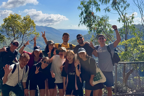 布里斯班：斯普林布鲁克七瀑布与天然桥之旅布里斯班：斯普林布鲁克七瀑布与天然石桥游览