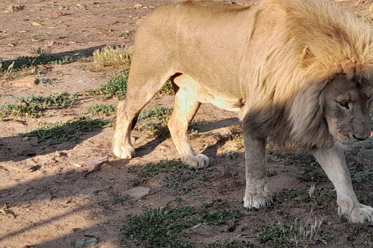 Aquila wildreservaat zonsondergangsafari met privévervoer