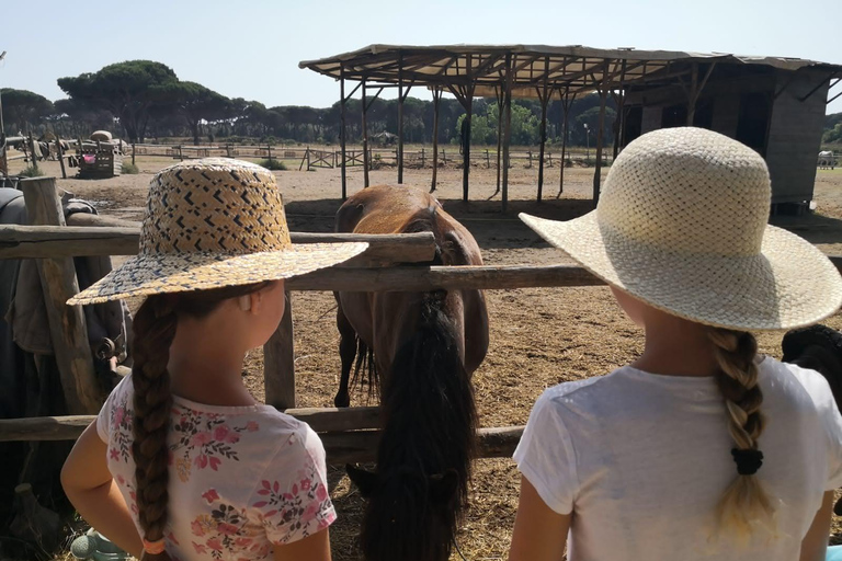Horse Sanctuary in Rome Elevating the Ride: Summer in the Simbruini Mountains