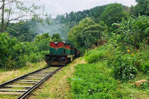 Colombo: Sapphire Mining & Gemological Tour to Hills