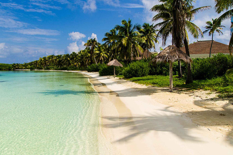 Ilha de Contoy e Isla Mujeres: Descobre a natureza e a cultura local