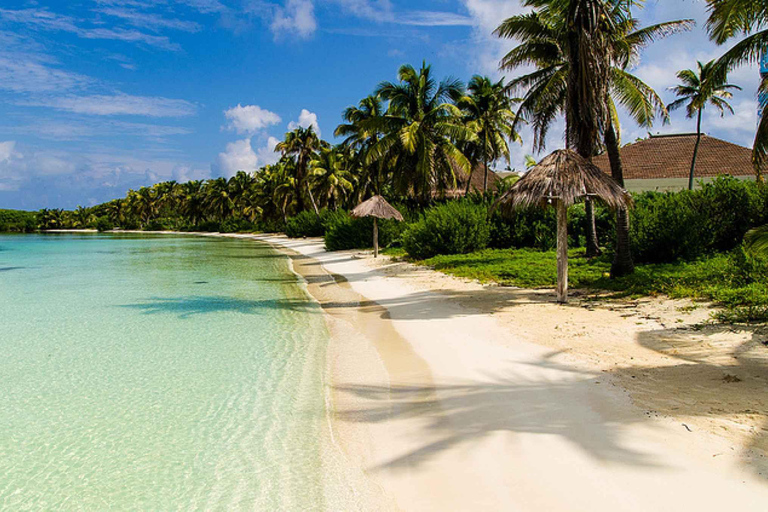 Île de Contoy et Isla Mujeres : découverte de la nature et de la culture locale