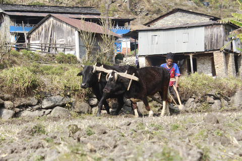 Desde Katmandú: Senderismo de 15 días por el Campo Base del Annapurna con Yoga