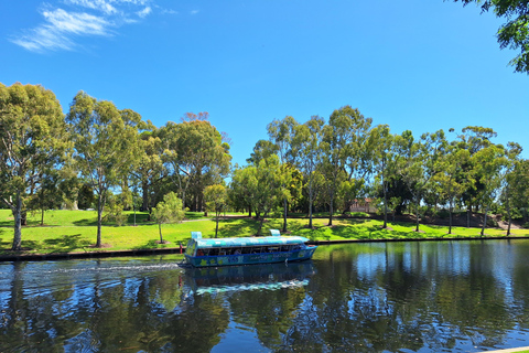 Adelaide: Guided Ultimate Walking Tour with Drink and Snack