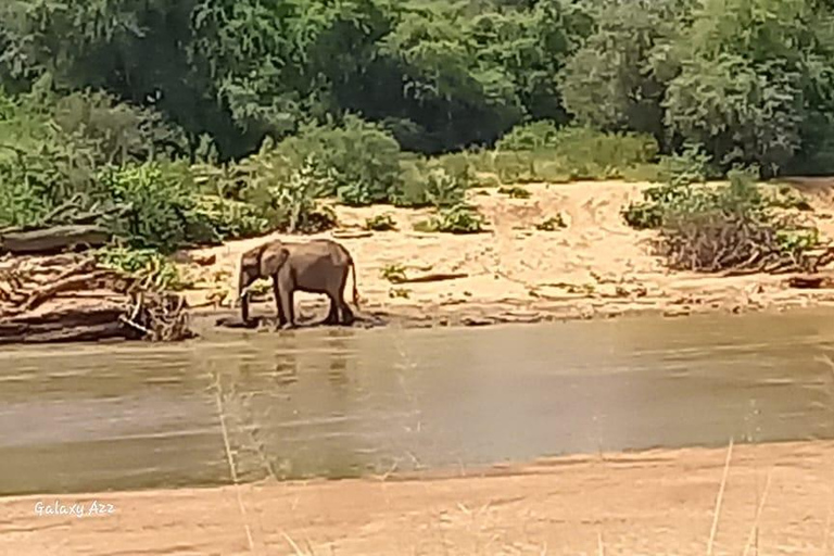 samburu and olpejeta national parks 4 days from nairobi.