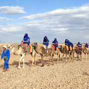 Marrakech Quad Bike and Camel Ride in Marrakech