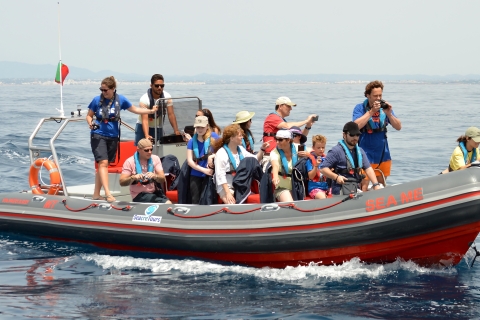 Albufeira: obserwacja delfinów i rejs statkiem po jaskini Benagil