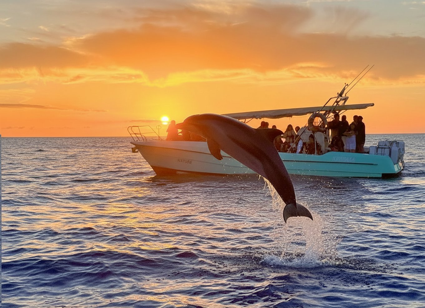 Fra Alcudia: Sejltur ved solopgang med delfinobservation
